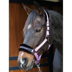 Harry's Horse Halster Lyrics Quotes Lila
