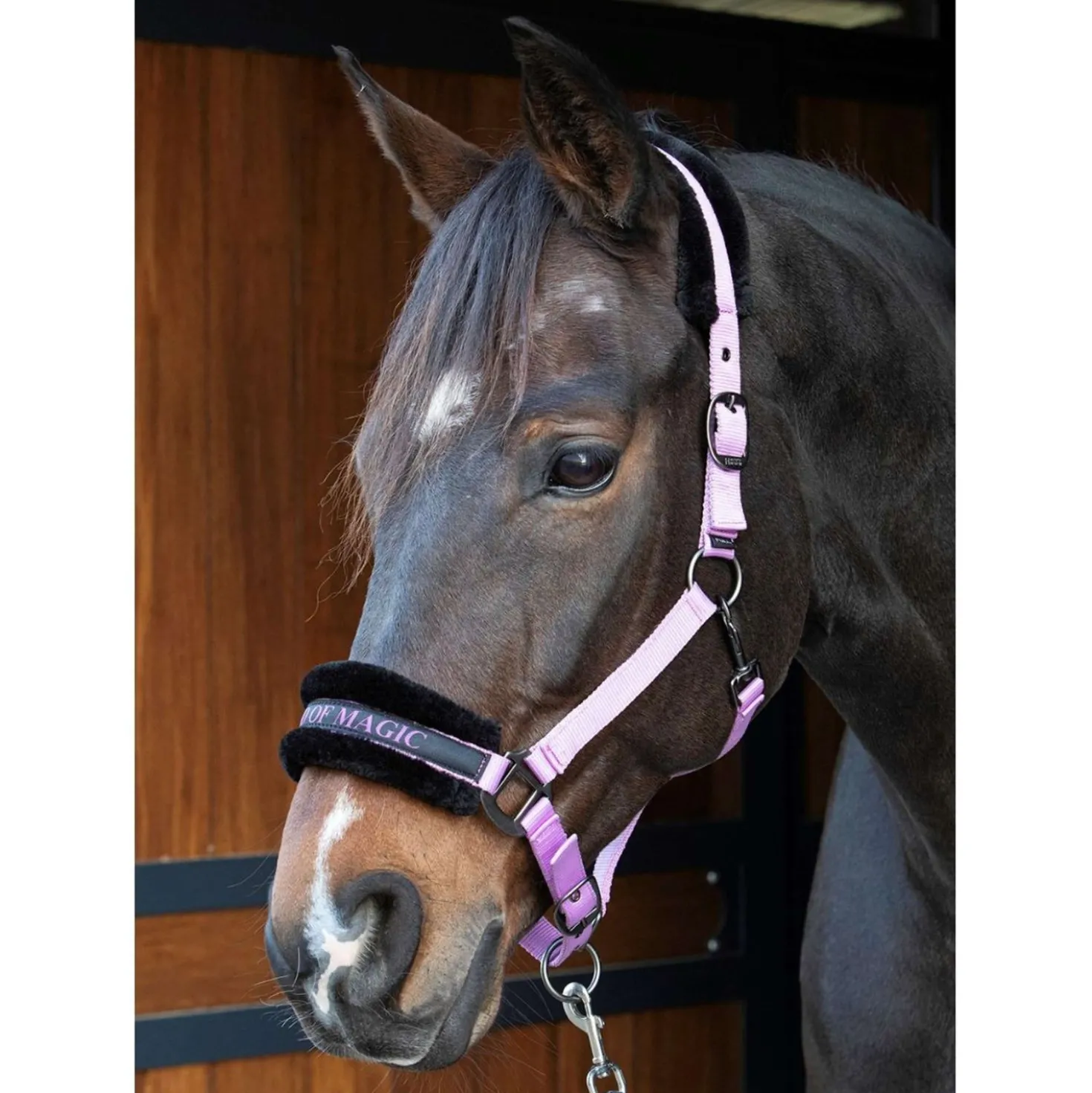 Harry's Horse Halster Lyrics Quotes Lila