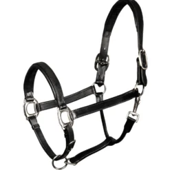 Harry's Horse Halster Padded Leder Zwart