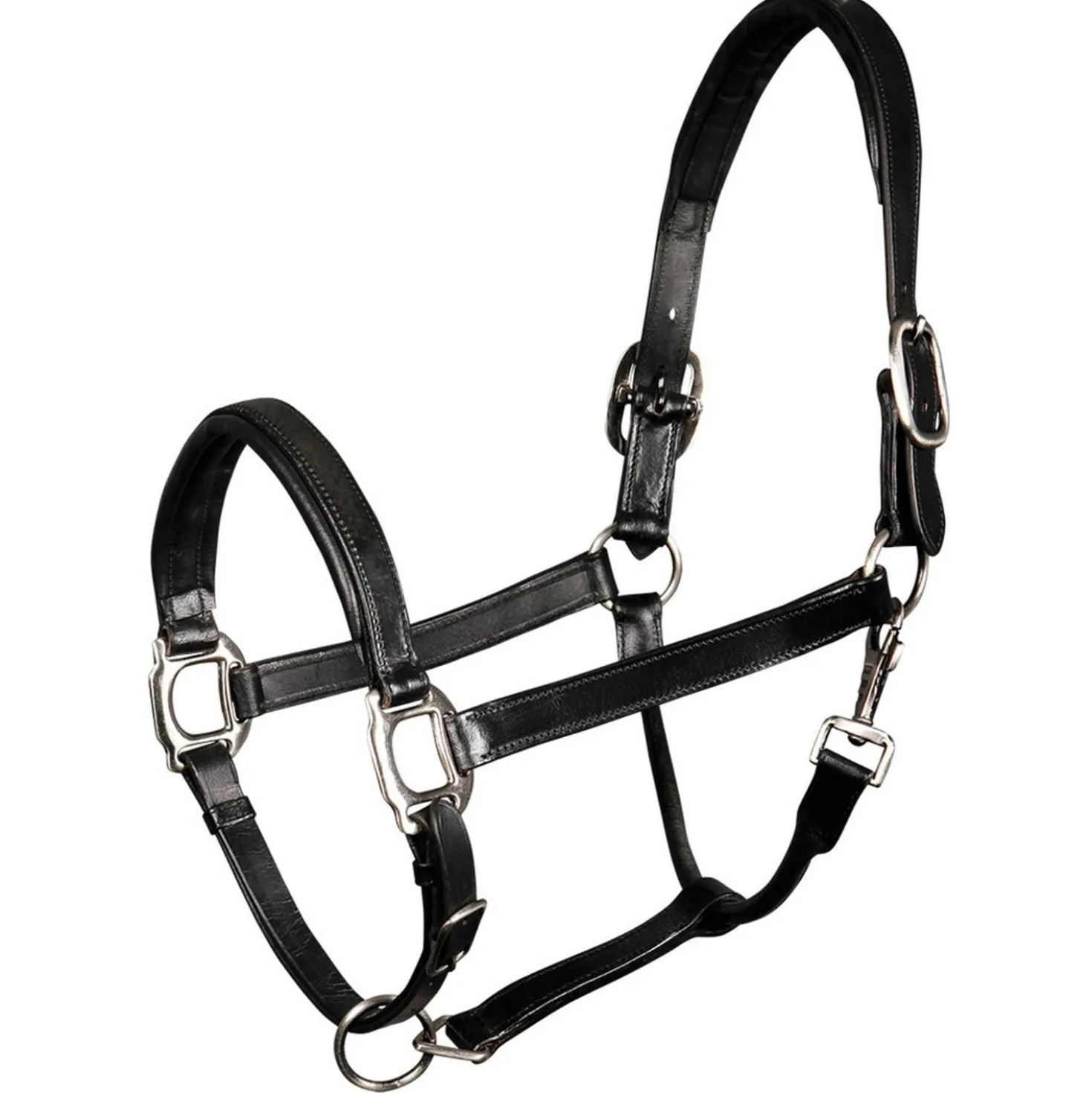 Harry's Horse Halster Padded Leder Zwart