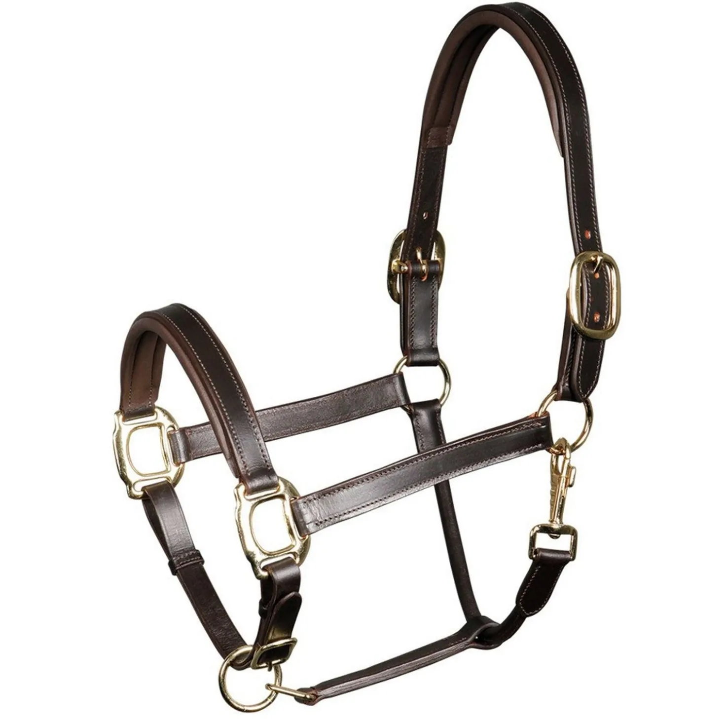 Harry's Horse Halster Padded Leder Bruin