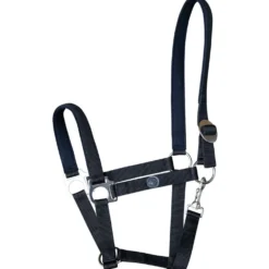 Harry's Horse Halster Padded Zwart