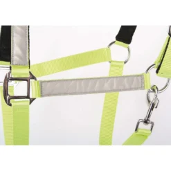 Harry's Horse Halster Reflective Reflecterend