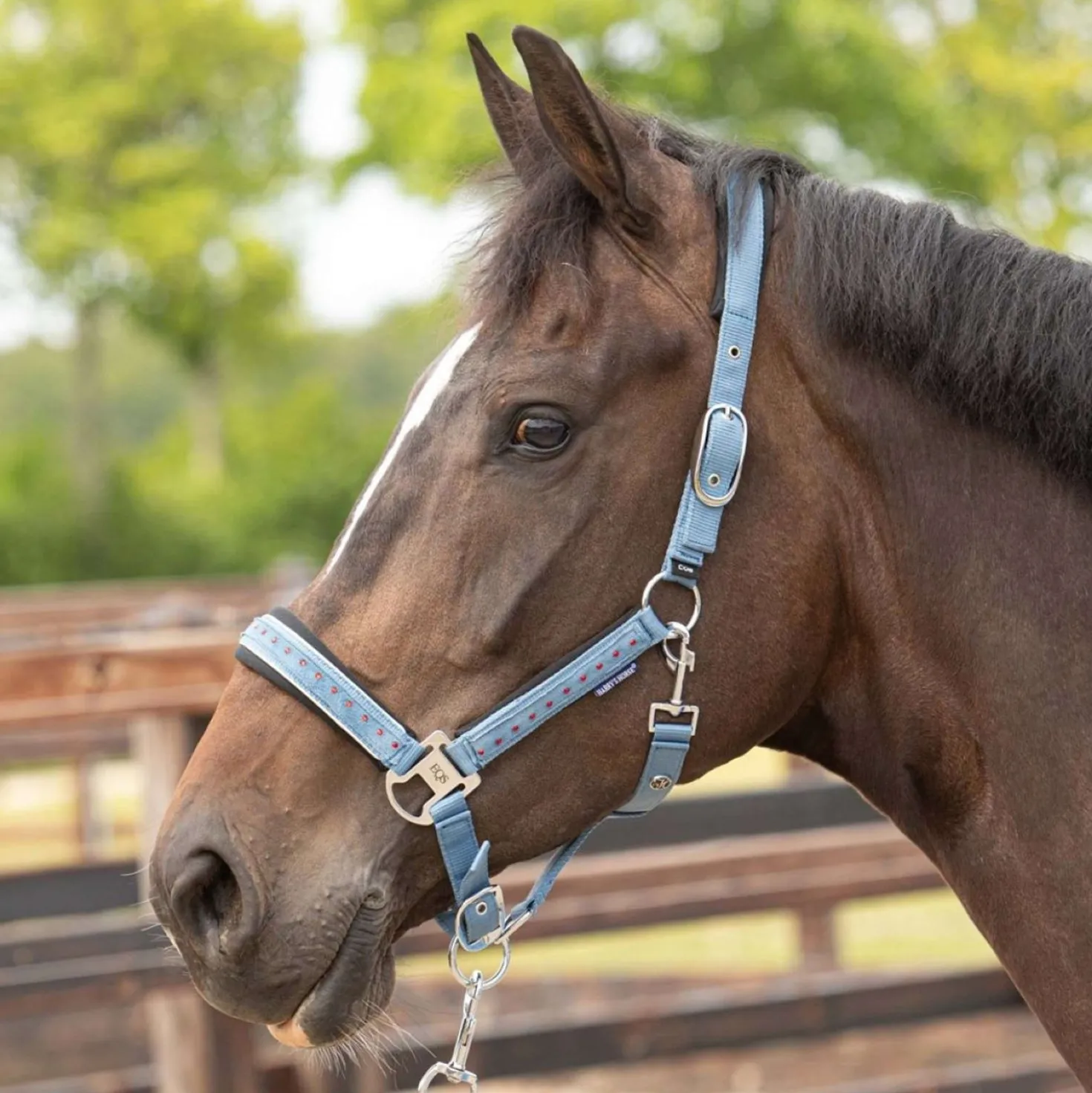 Harry's Horse Halsterset Crystal Blue Heaven