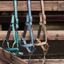 Harry's Horse Halsterset Crystal Blue Heaven