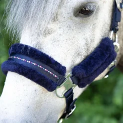 Harry's Horse Halsterset Denici Cavalli Purple Passion Crystal Peacoat
