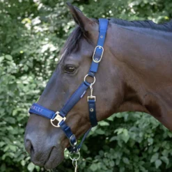 Harry's Horse Halsterset Denici Cavalli Purple Passion Satin Peacoat