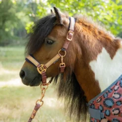 Harry's Horse Halsterset Diva Mauvewood Mauvewood