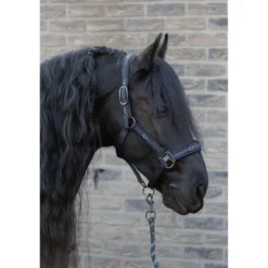 Harry's Horse Halsterset EQS Black-Sand