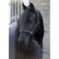 Harry's Horse Halsterset EQS Black-Sand
