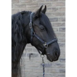 Harry's Horse Halsterset EQS Black-Sand