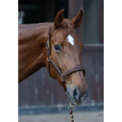 Harry's Horse Halsterset EQS Bracken