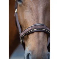Harry's Horse Halsterset EQS Bracken
