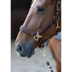 Harry's Horse Halsterset EQS Bracken