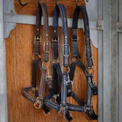 Harry's Horse Halsterset EQS Dark Navy