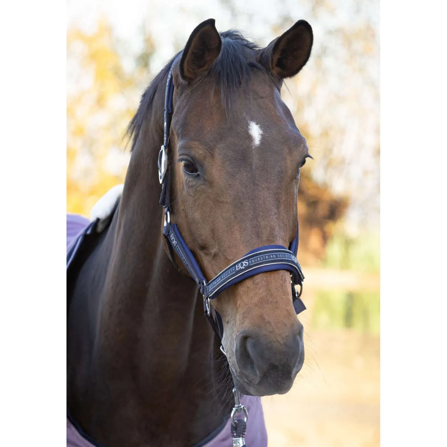 Harry's Horse Halsterset EQS Dark Navy