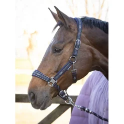 Harry's Horse Halsterset EQS Dark Navy