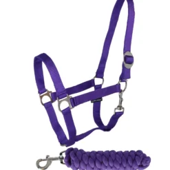 Harry's Horse Halsterset Initial Violet