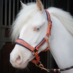 Harry's Horse Halsterset LouLou Crabapple