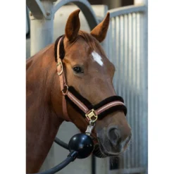 Harry's Horse Halsterset Soft Mocha-Bisque