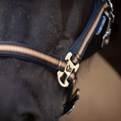 Harry's Horse Halsterset STOUT! Maverick Total Eclipse