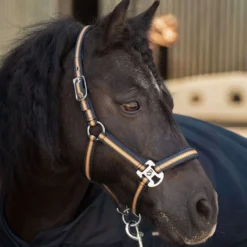 Harry's Horse Halsterset STOUT! Maverick Total Eclipse