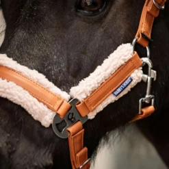 Harry's Horse Halsterset STOUT! Maverick Bran