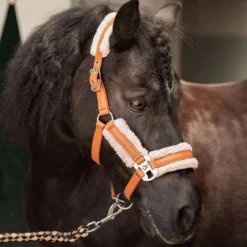 Harry's Horse Halsterset STOUT! Maverick Bran