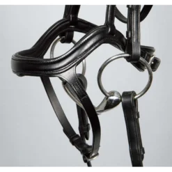 Harry's Horse Hoofdstel Anatomic Zwart
