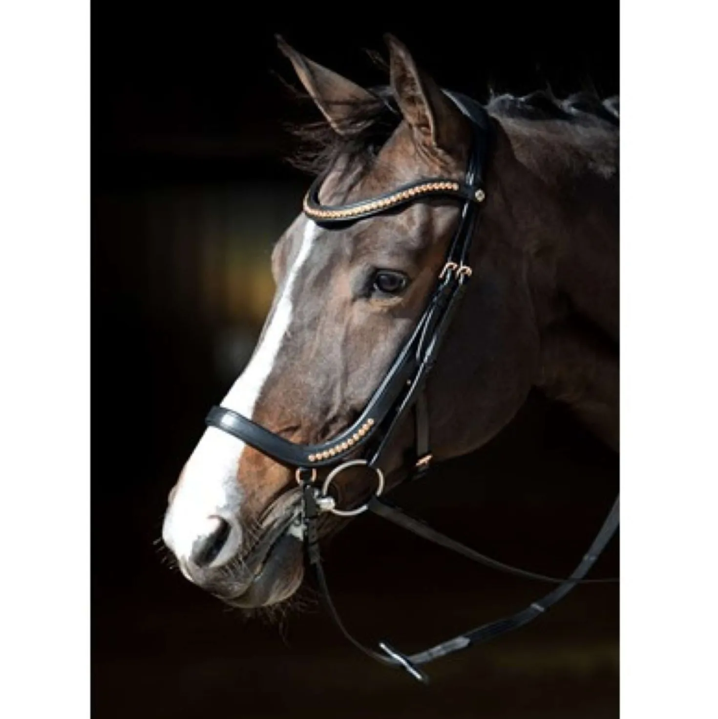 Harry's Horse Hoofdstel Anatomisch Zwart