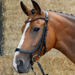 Harry's Horse Hoofdstel Anatomic Black Crystal Zwart
