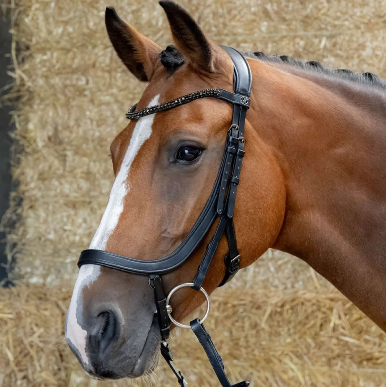 Harry's Horse Hoofdstel Anatomic Black Crystal Zwart