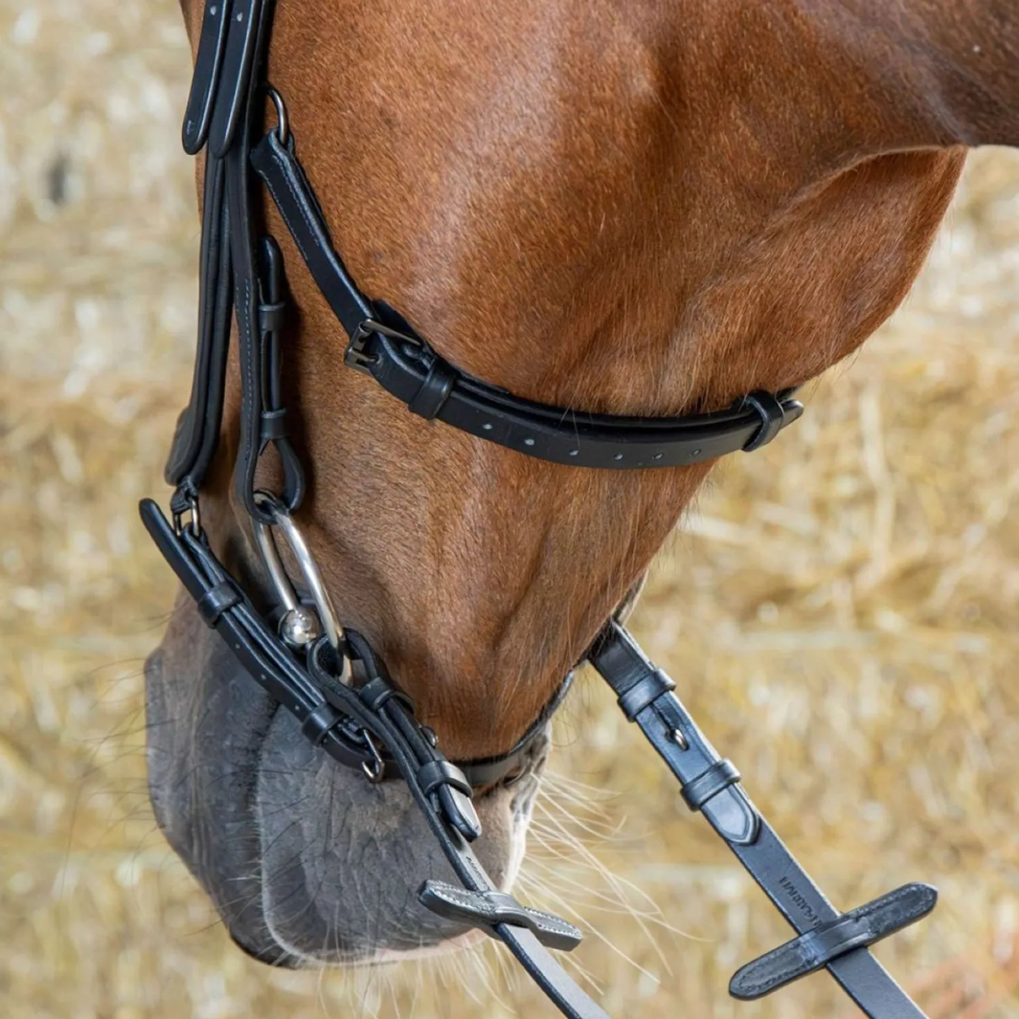 Harry's Horse Hoofdstel Anatomic Black Crystal Zwart