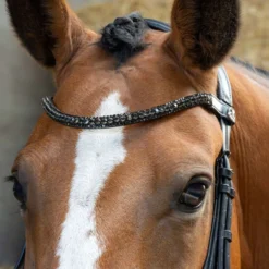 Harry's Horse Hoofdstel Anatomic Black Crystal Zwart