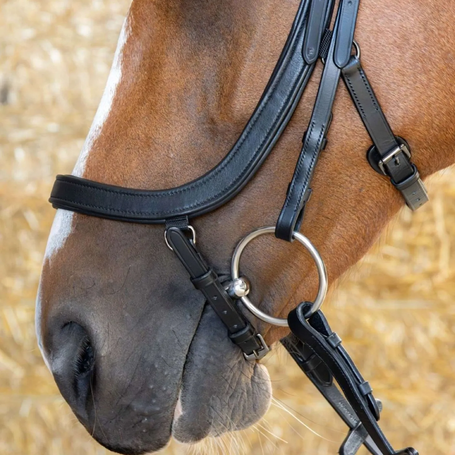 Harry's Horse Hoofdstel Anatomic Black Crystal Zwart