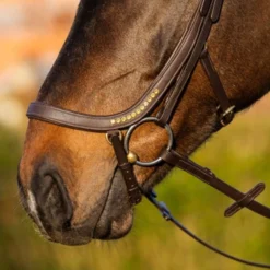 Harry's Horse Hoofdstel Anatomic Gold Bruin