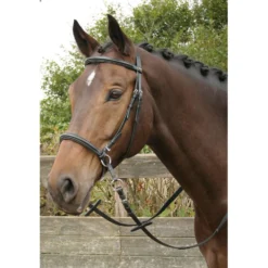 Harry's Horse Hoofdstel Bitloos Kaakgekruist Zwart