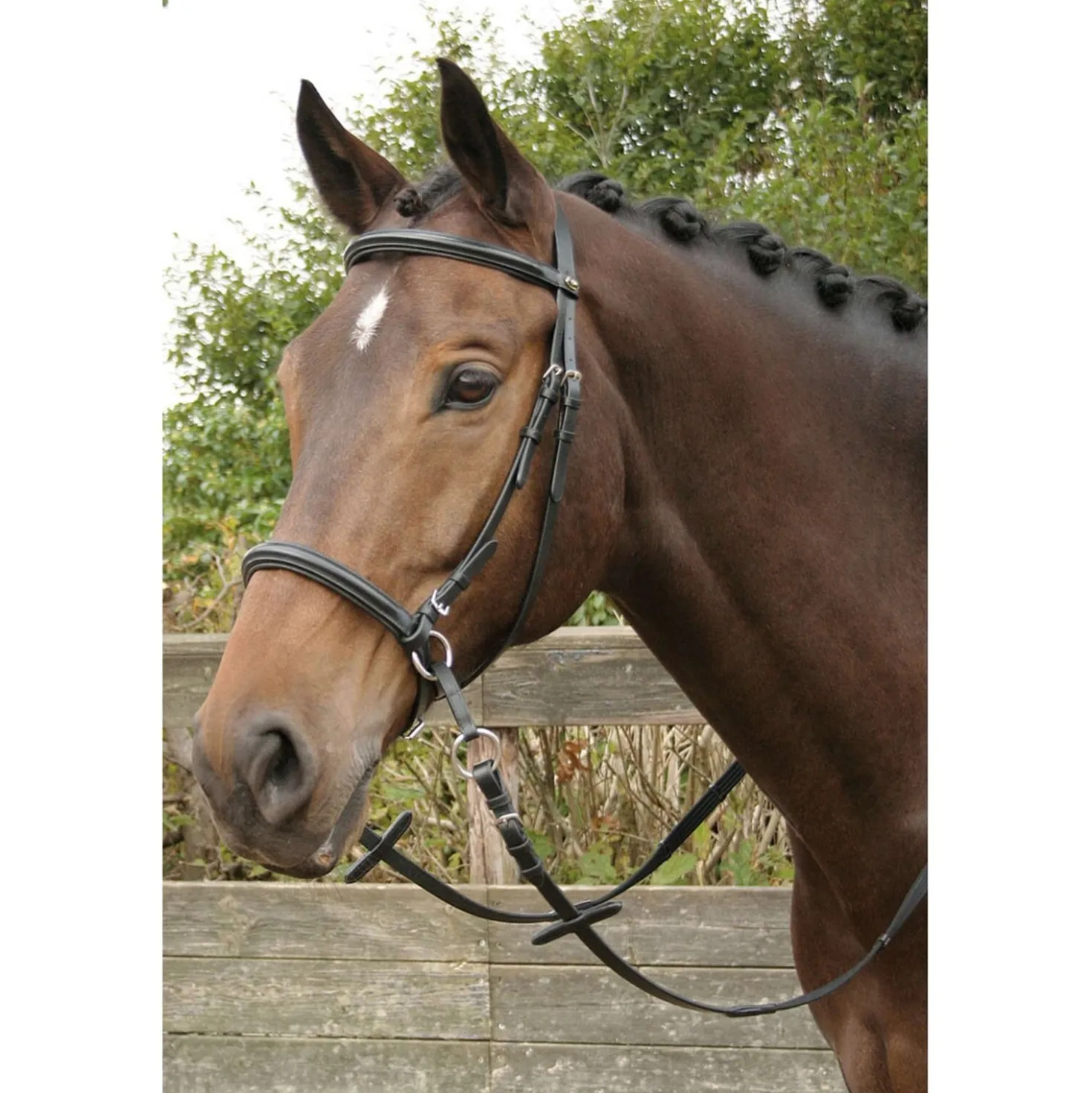 Harry's Horse Hoofdstel Bitloos Kaakgekruist Zwart