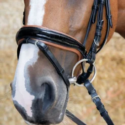 Harry's Horse Hoofdstel Black Cognac Zwart