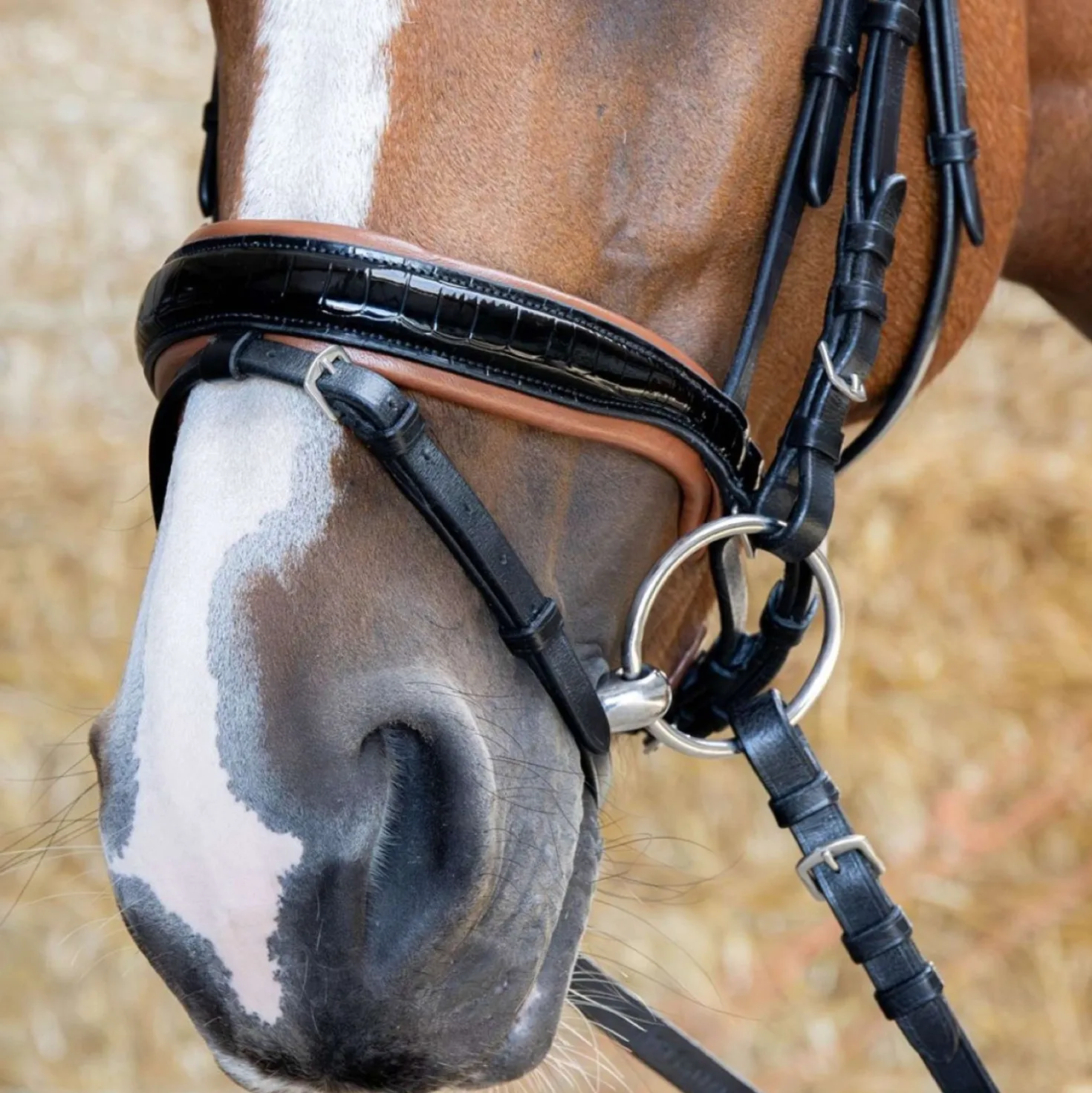 Harry's Horse Hoofdstel Black Cognac Zwart