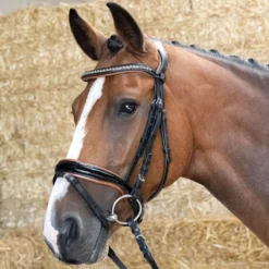 Harry's Horse Hoofdstel Black Cognac Zwart