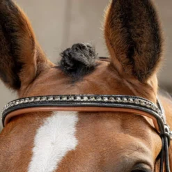 Harry's Horse Hoofdstel Black Cognac Zwart