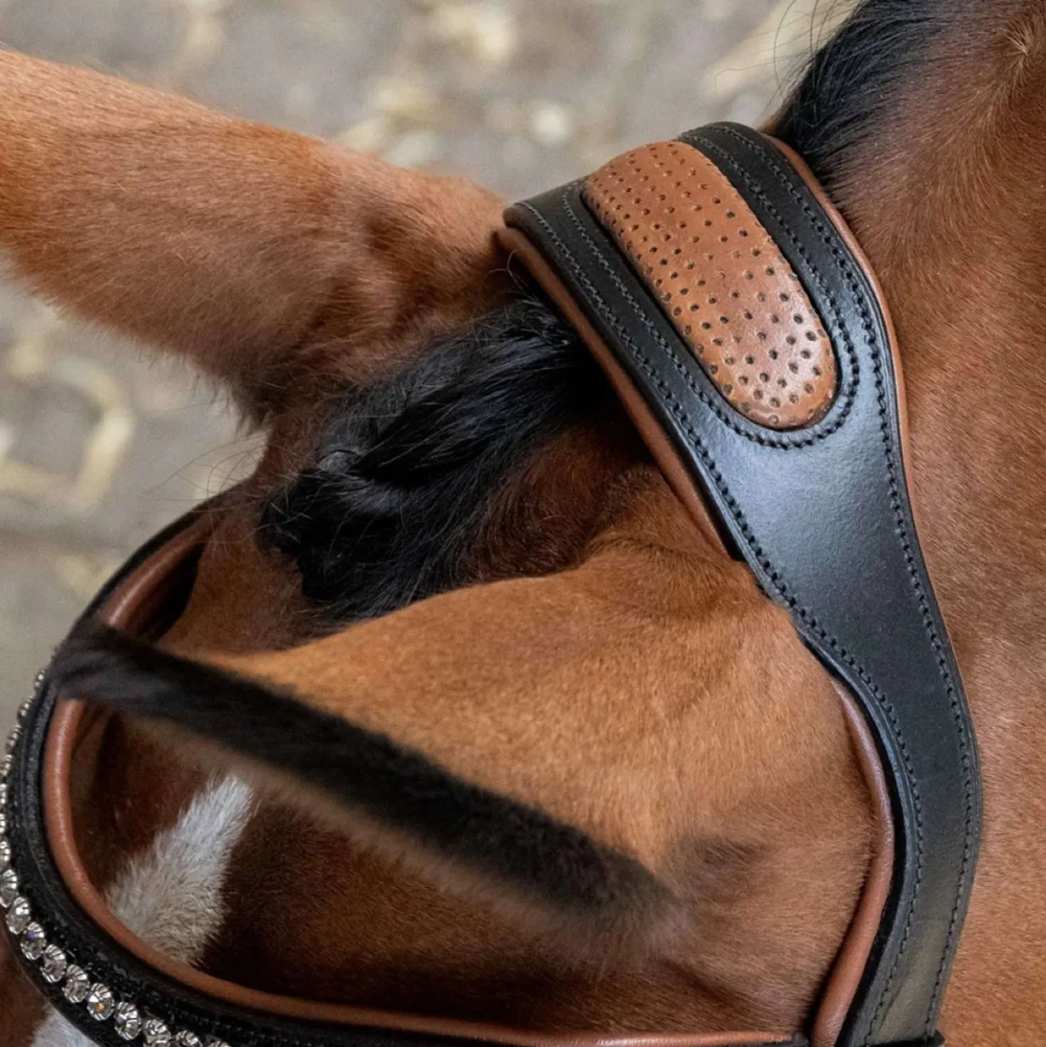 Harry's Horse Hoofdstel Black Cognac Zwart