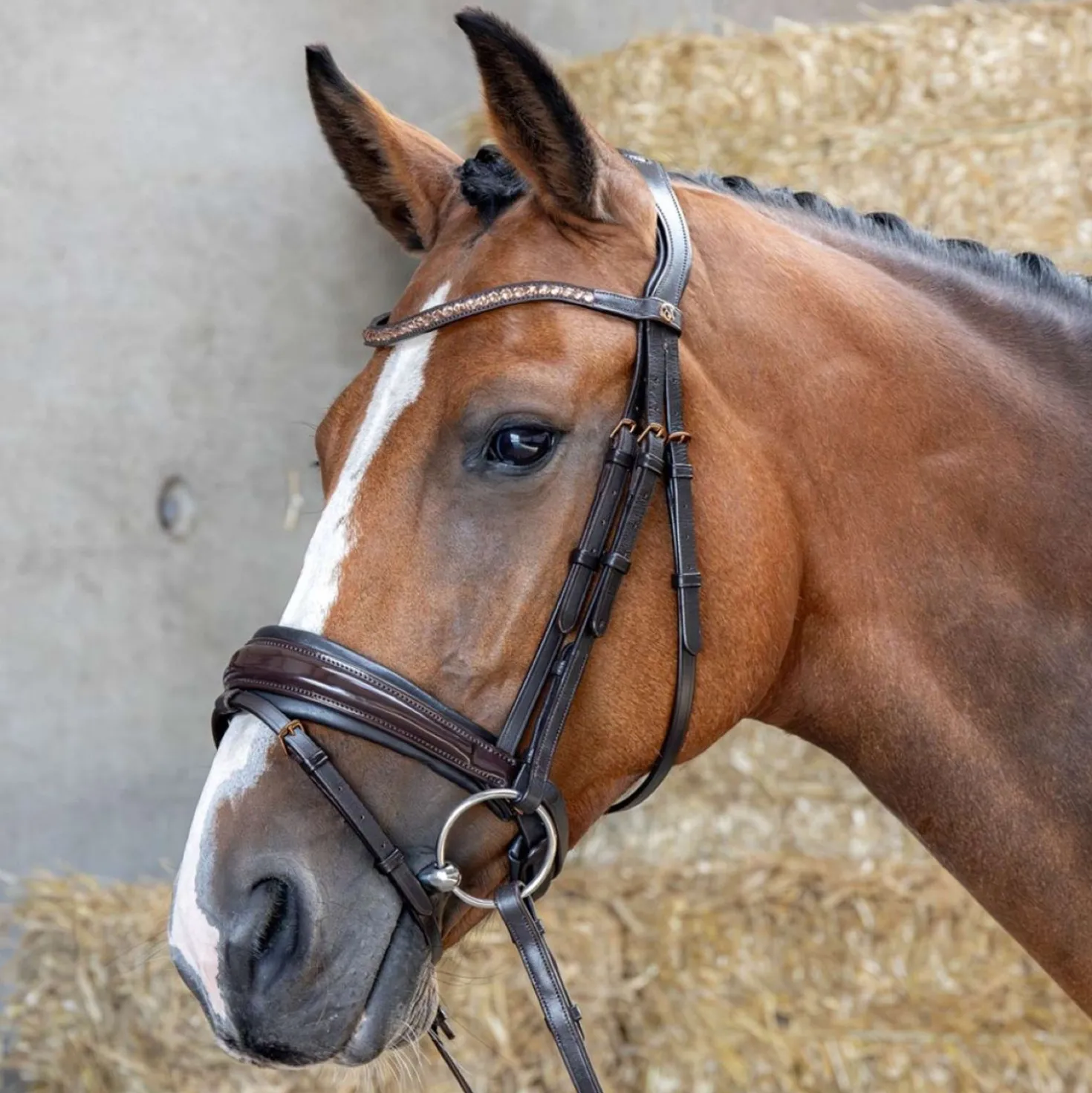 Harry's Horse Hoofdstel Copper Bruin