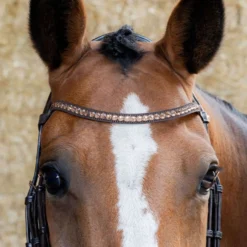 Harry's Horse Hoofdstel Copper Bruin