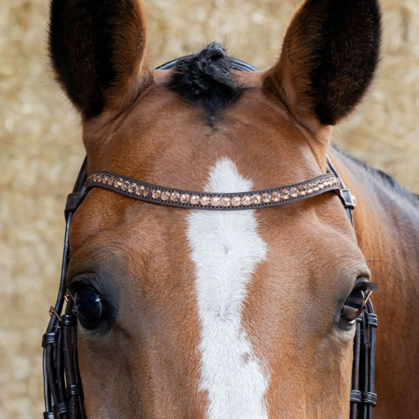 Harry's Horse Hoofdstel Copper Bruin