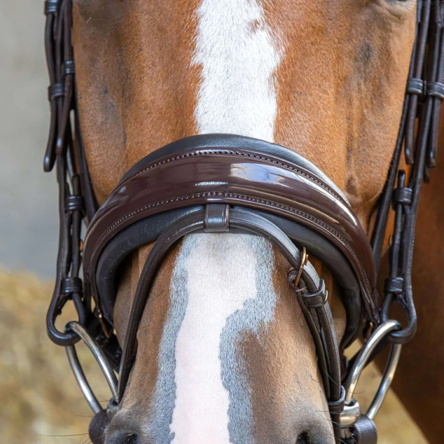 Harry's Horse Hoofdstel Copper Bruin
