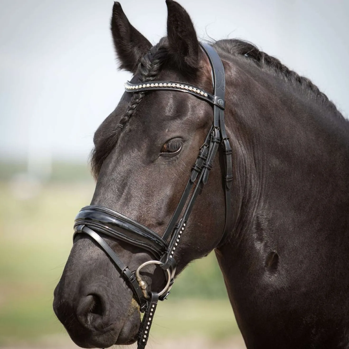 Harry's Horse Hoofdstel Diamond Lacque Zwart