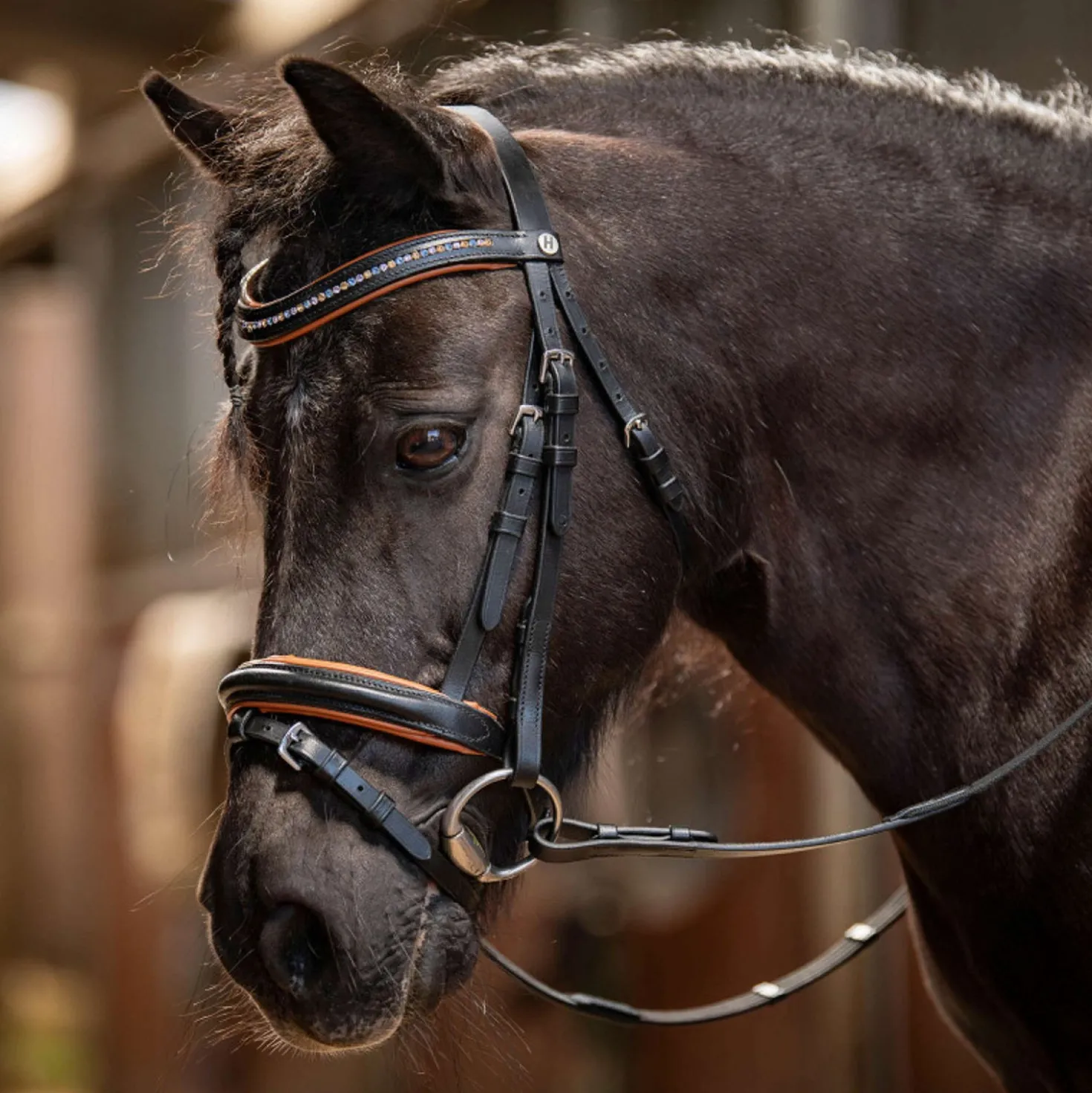 Harry's Horse Hoofdstel STOUT! Maverick Zwart
