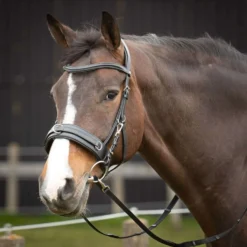 Harry's Horse Kaptoom Hoofdstel Comfort Leder Zwart